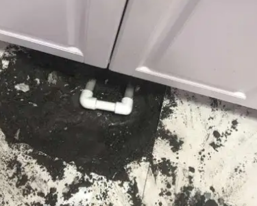 石嘴山市查漏水哪家好